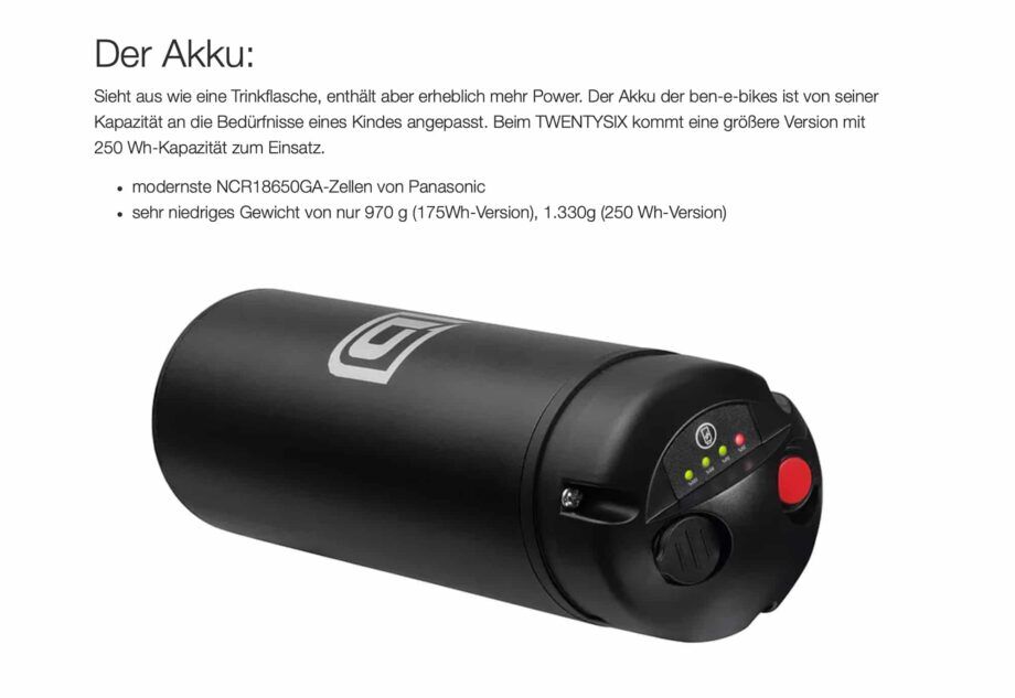 2025 Twenty E-Power 10,3 kg inkl. Pedale – Bild 12