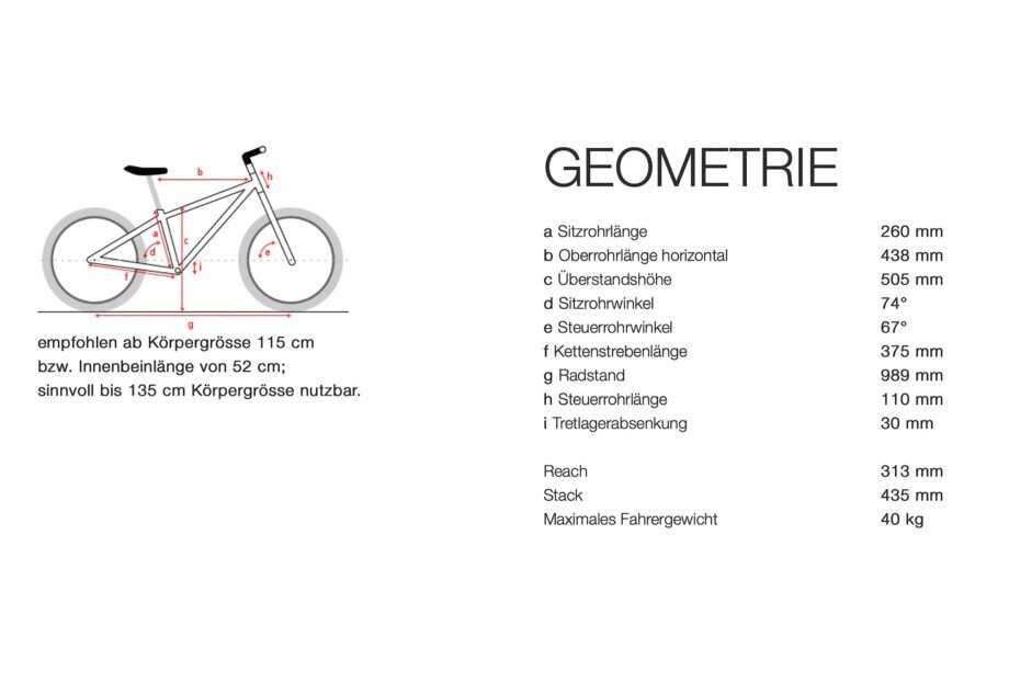 2025 Twenty E-Power Pro 11,5 kg inkl. Pedale – Bild 2